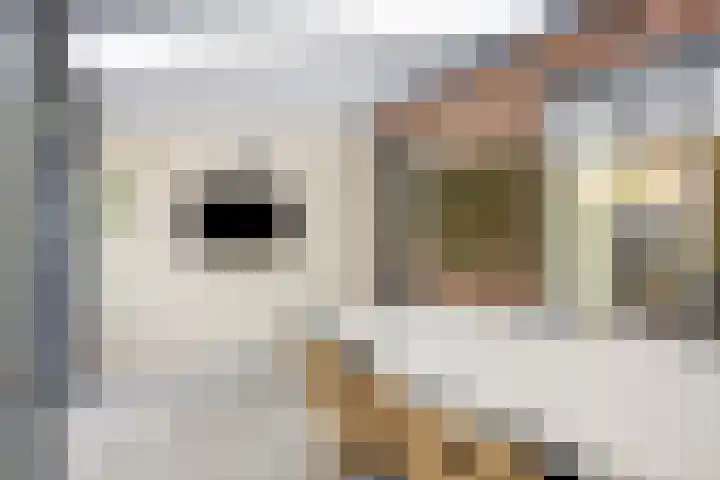Stadhouderspoort 2 Nieuw-Vennep thumbnail 26