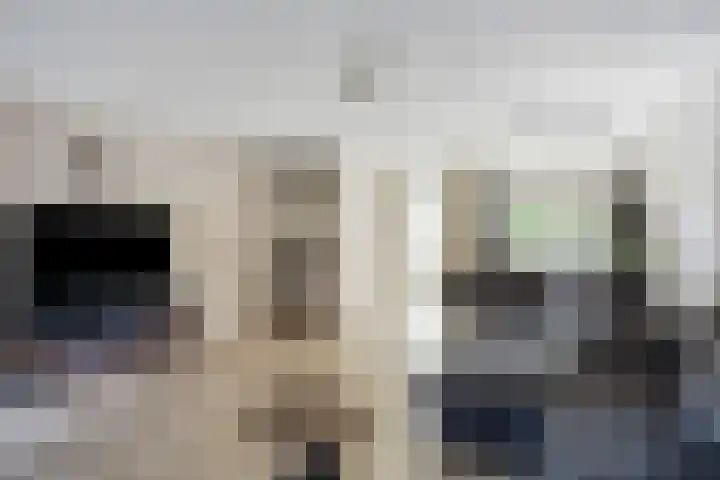 Stadhouderspoort 2 Nieuw-Vennep thumbnail 5