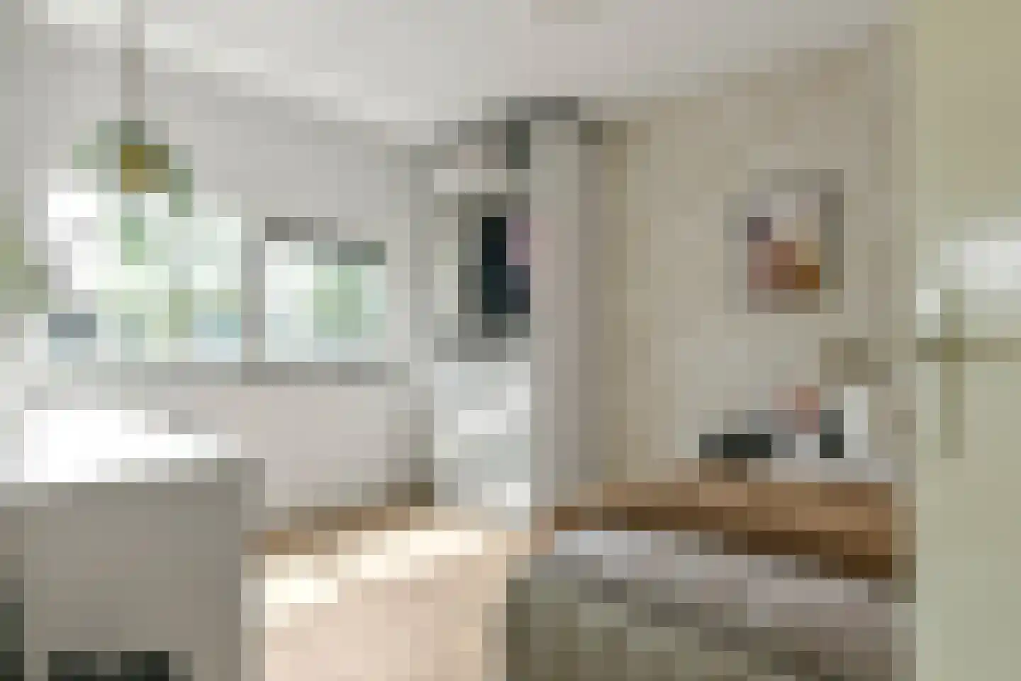 Stadhouderspoort 32 Nieuw-Vennep thumbnail 34
