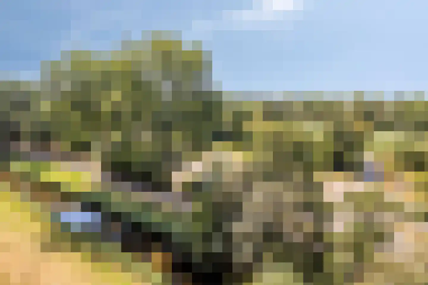 Stadhoudersring 166 Zoetermeer thumbnail 17
