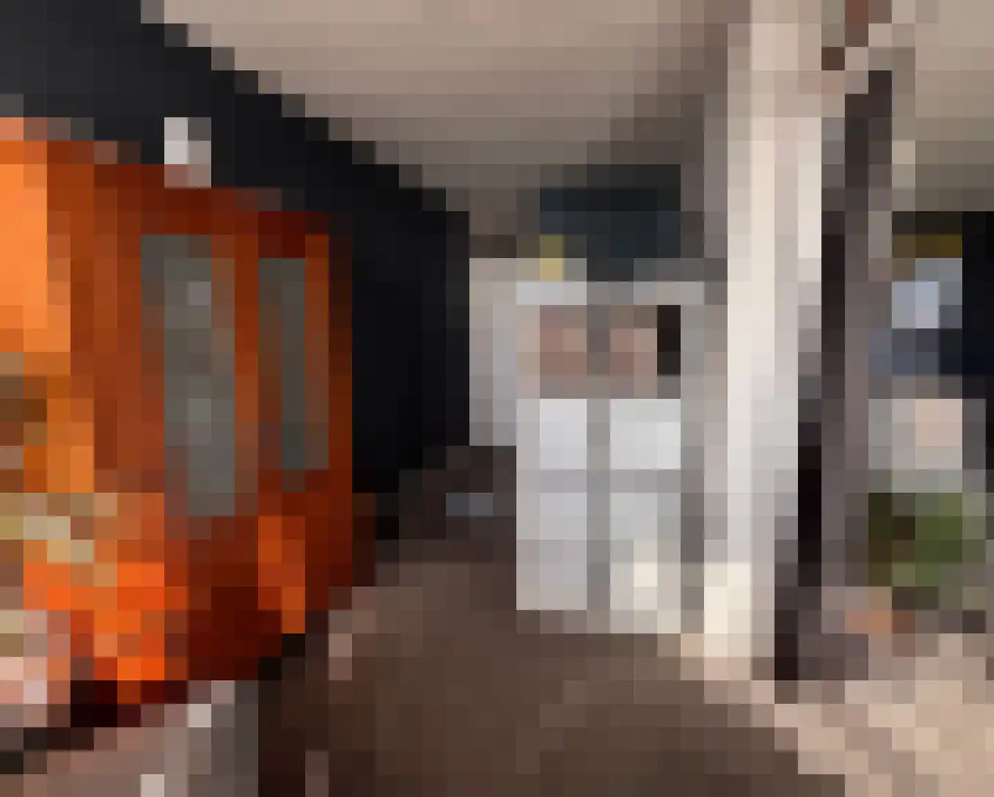 Stadhoudersring 260 Zoetermeer thumbnail 10