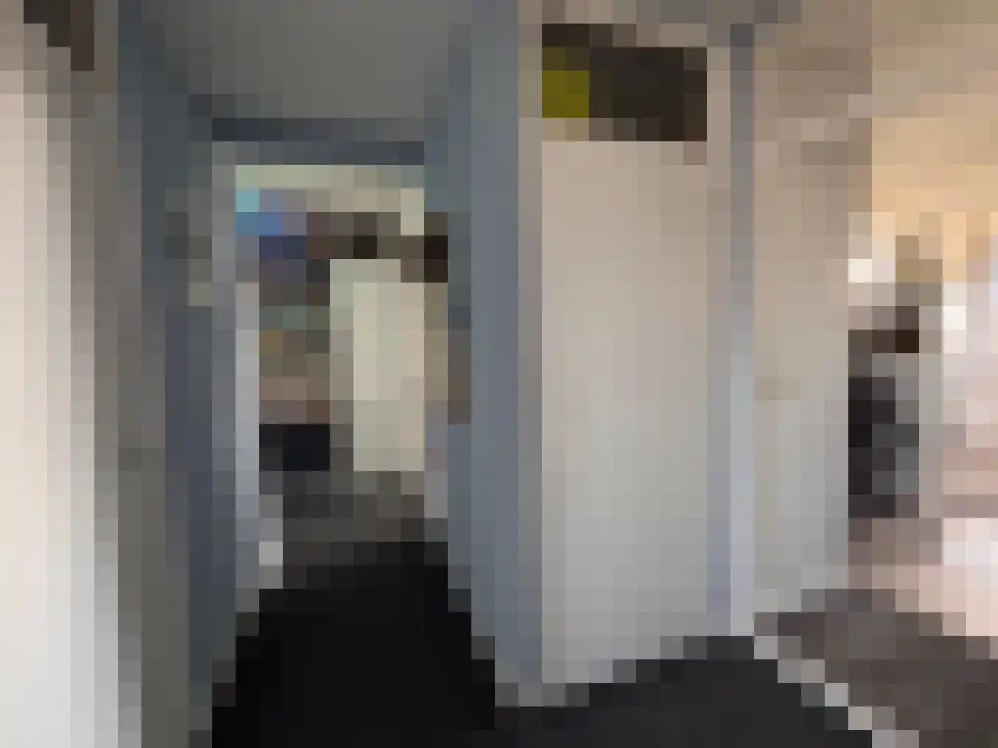 Stadhoudersring 260 Zoetermeer thumbnail 12
