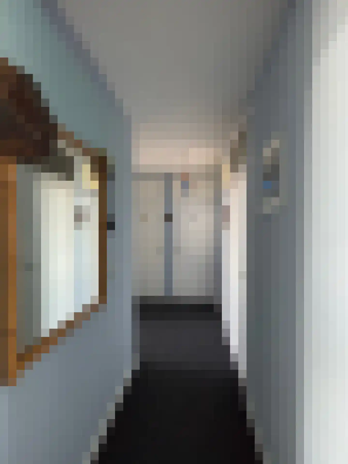 Stadhoudersring 260 Zoetermeer thumbnail 13