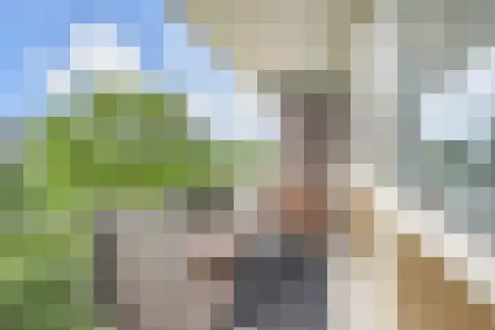Stadhoudersring 322 Zoetermeer thumbnail 26