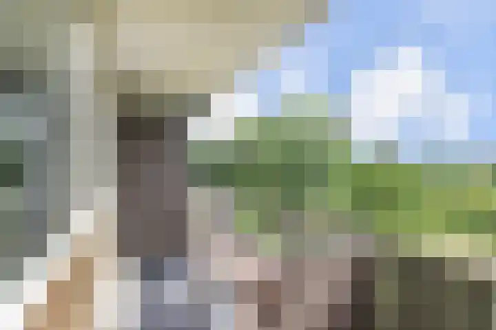 Stadhoudersring 322 Zoetermeer thumbnail 27