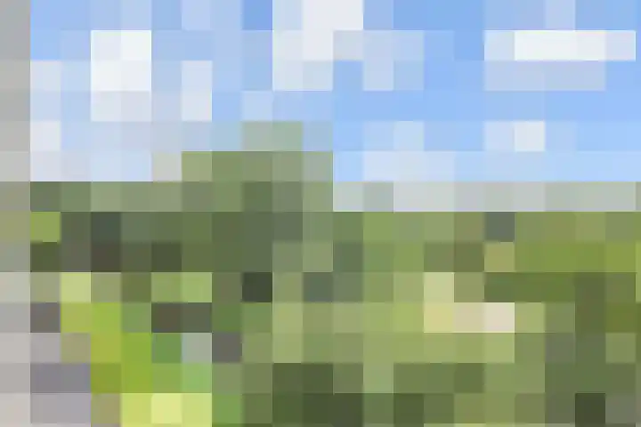 Stadhoudersring 322 Zoetermeer thumbnail 28
