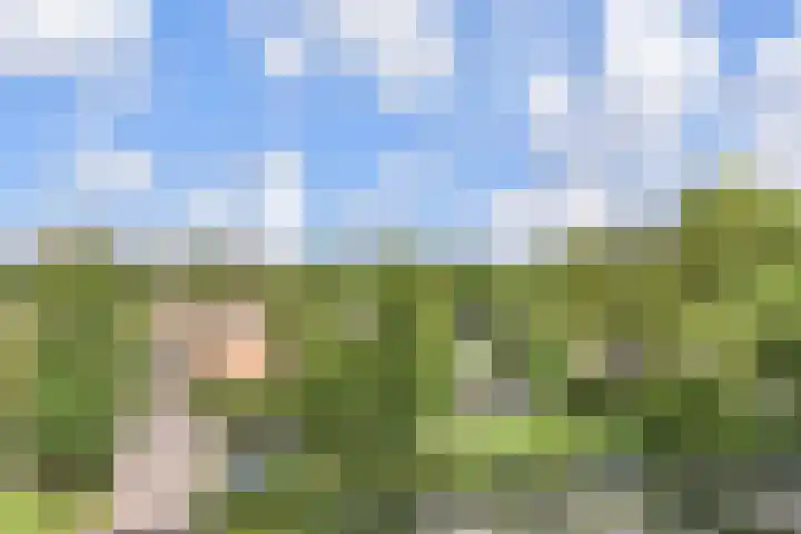 Stadhoudersring 322 Zoetermeer thumbnail 29