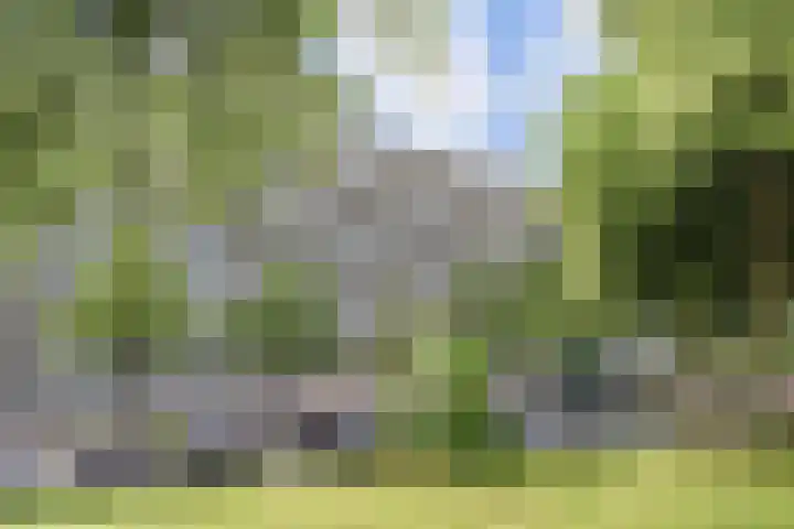 Stadhoudersring 322 Zoetermeer thumbnail 6
