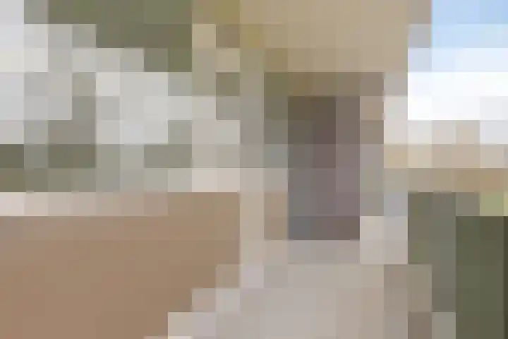Stadhoudersring 34 Zoetermeer thumbnail 21