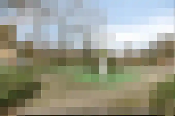 Stadhoudersring 34 Zoetermeer thumbnail 23