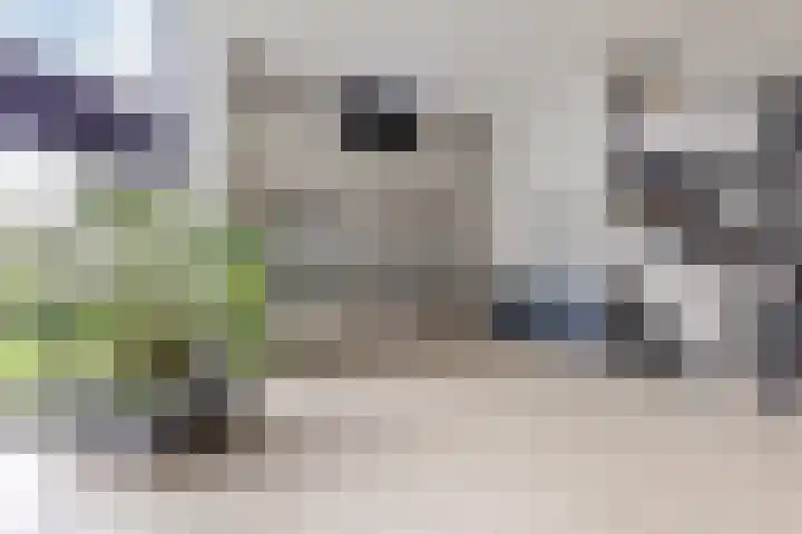 Stadhoudersring 34 Zoetermeer thumbnail 4