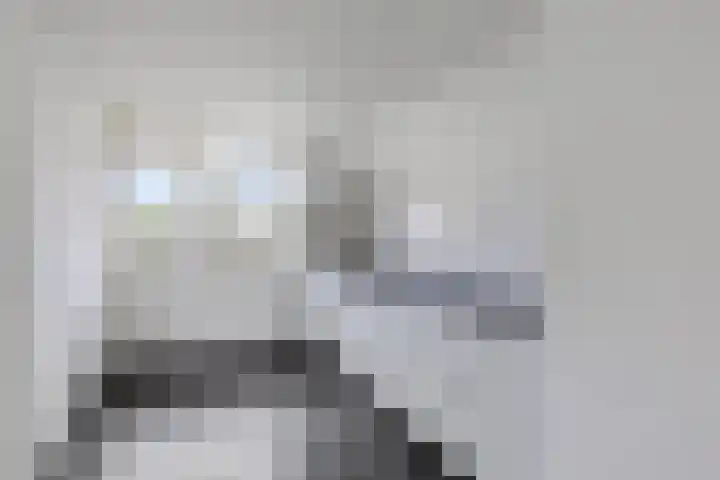 Stadhoudersring 34 Zoetermeer thumbnail 9