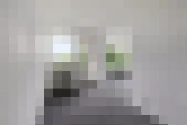 Stadhoudersring 432 Zoetermeer thumbnail 12