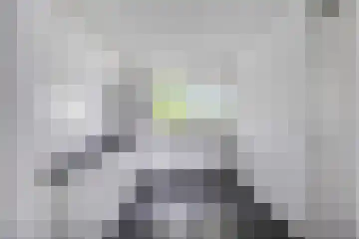 Stadhoudersring 432 Zoetermeer thumbnail 14