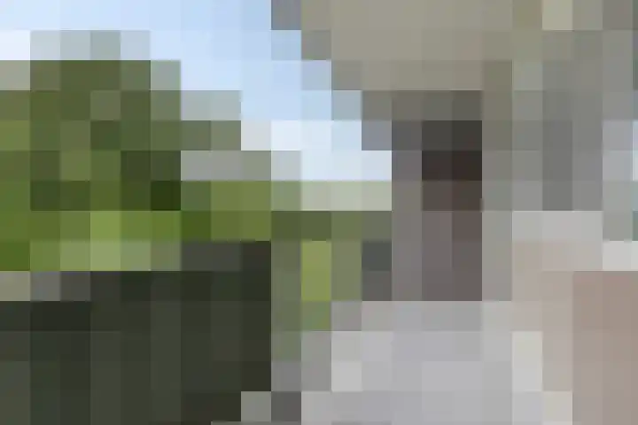 Stadhoudersring 432 Zoetermeer thumbnail 27