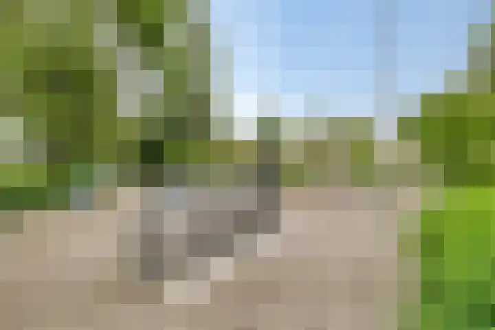 Stadhoudersring 432 Zoetermeer thumbnail 29