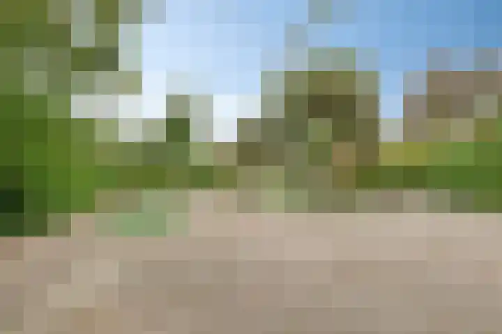 Stadhoudersring 432 Zoetermeer thumbnail 30