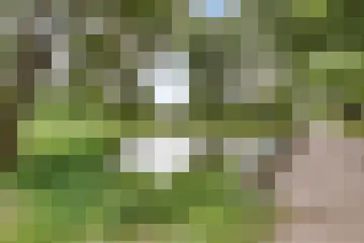 Stadhoudersring 432 Zoetermeer thumbnail 33