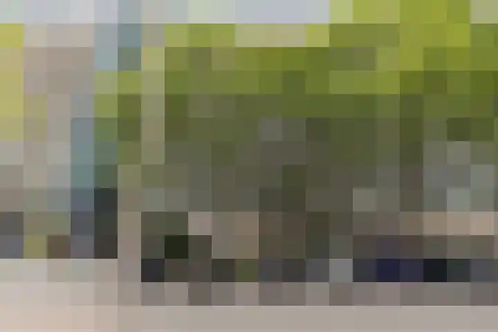 Stadhoudersring 432 Zoetermeer thumbnail 4