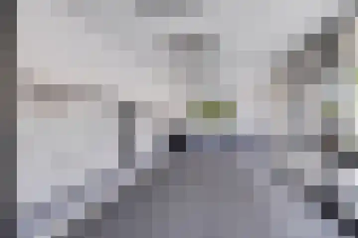 Stadhoudersring 432 Zoetermeer thumbnail 7