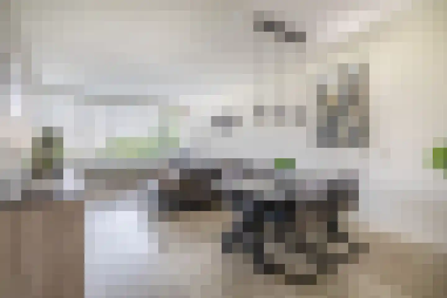 Stadhoudersring 442 Zoetermeer thumbnail 13