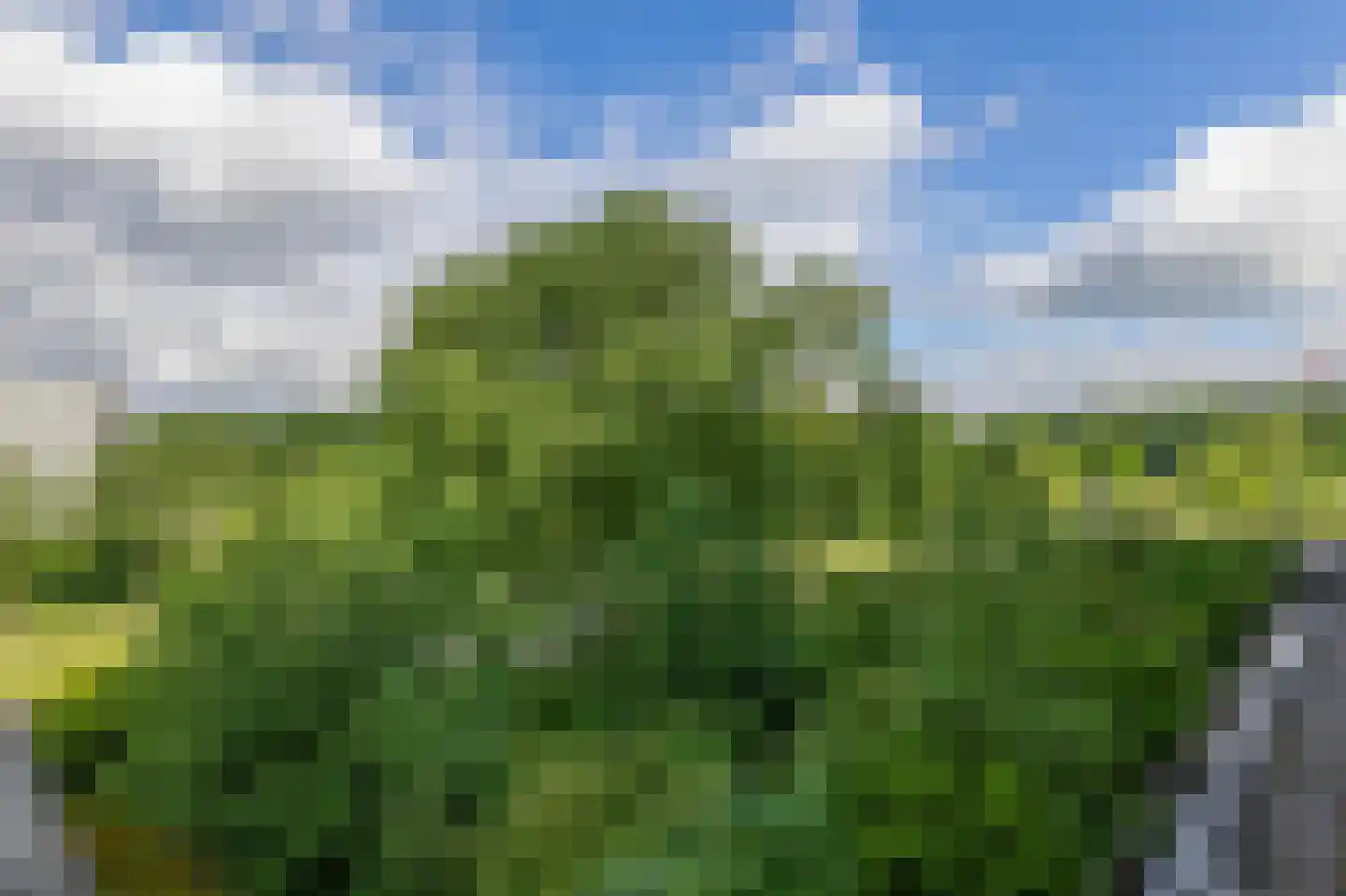 Stadhoudersring 442 Zoetermeer thumbnail 34