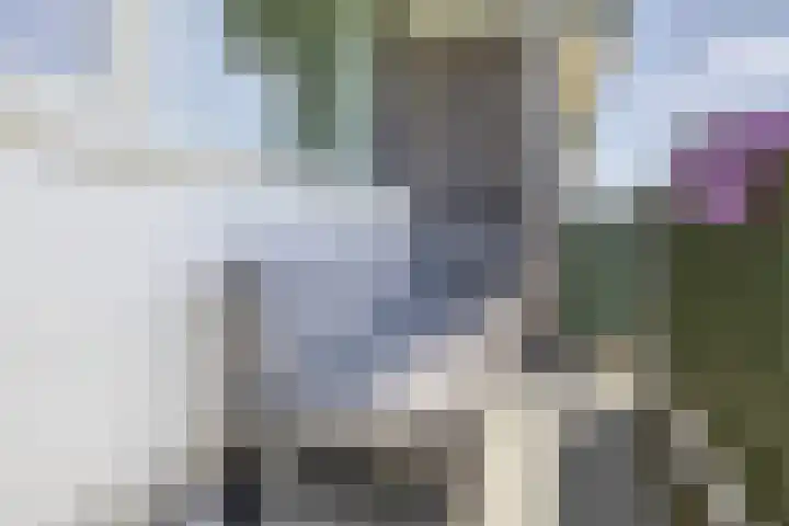 Stadhoudersring 502 Zoetermeer thumbnail 26