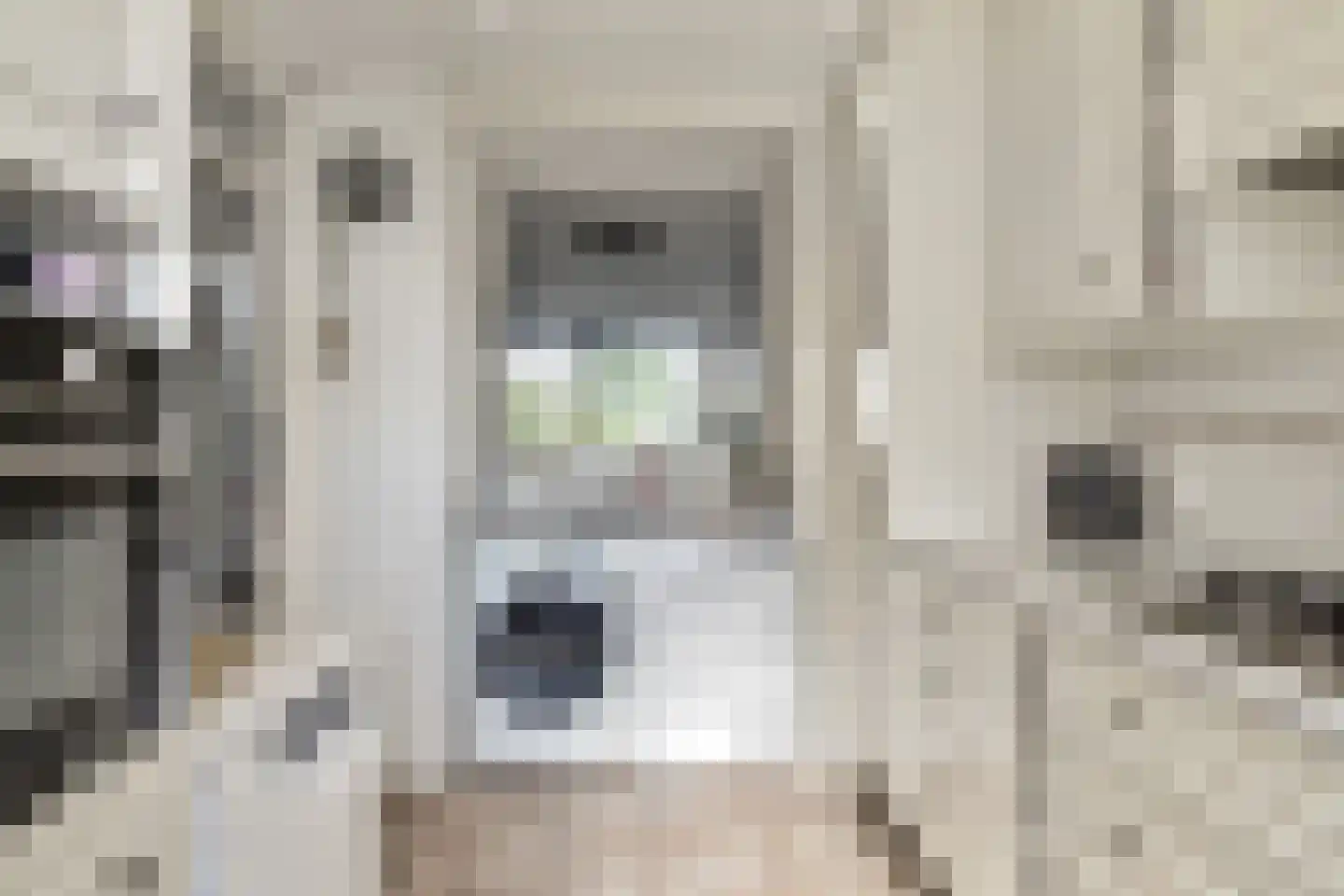 Stadhoudersring 556 Zoetermeer thumbnail 11