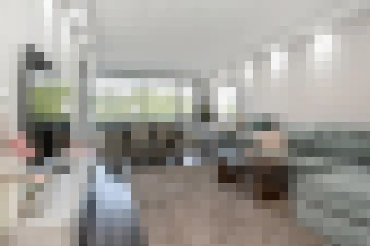 Stadhoudersring 556 Zoetermeer thumbnail 12