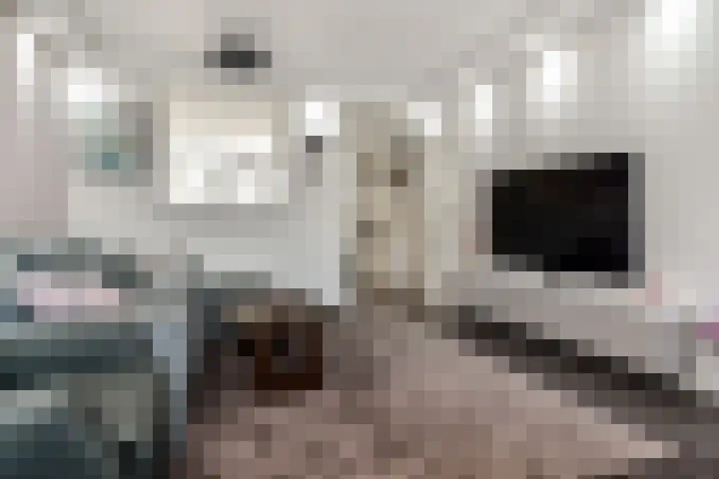 Stadhoudersring 556 Zoetermeer thumbnail 17