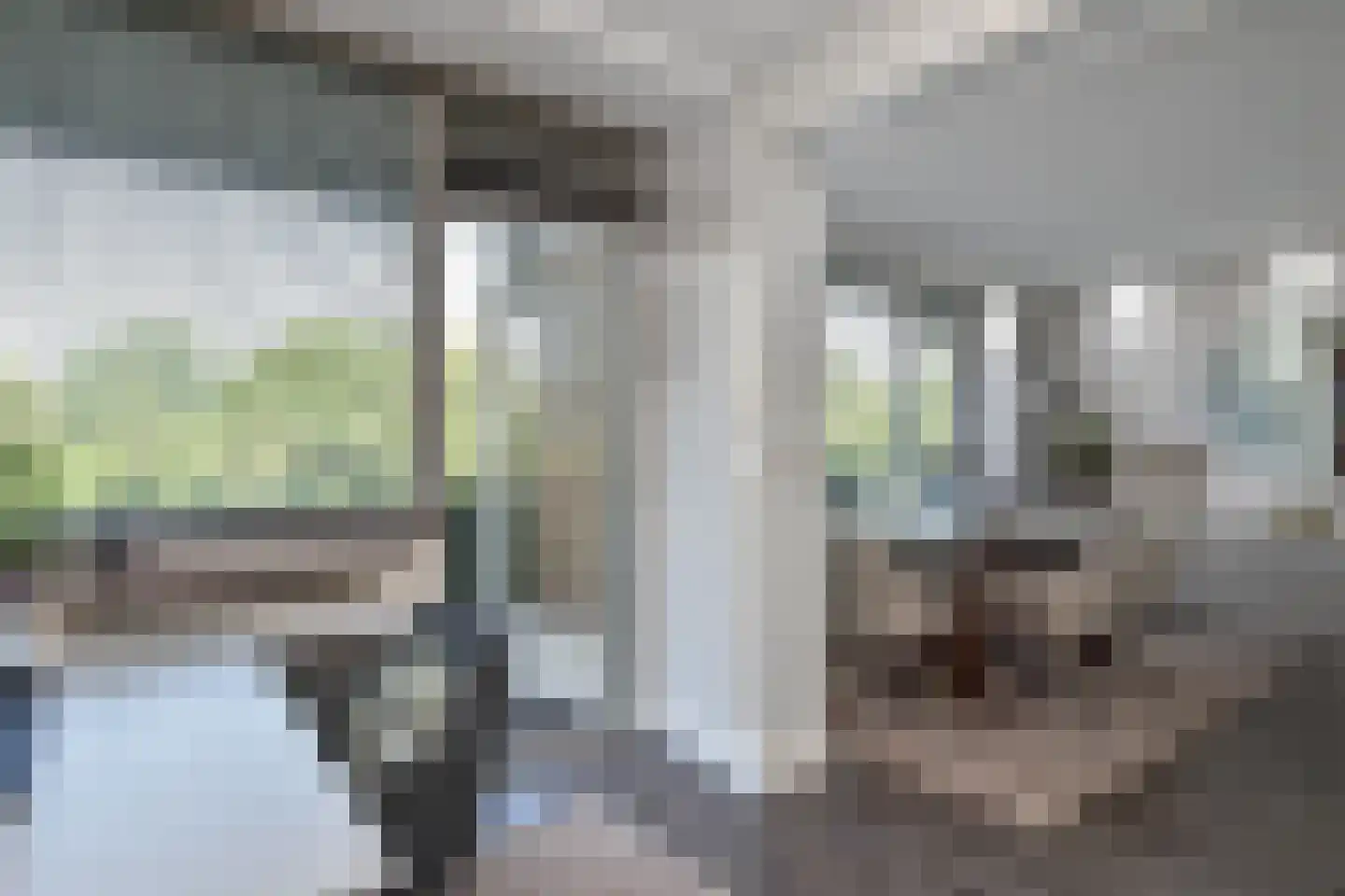 Stadhoudersring 556 Zoetermeer thumbnail 19