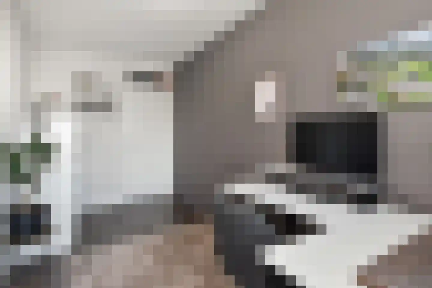 Stadhoudersring 556 Zoetermeer thumbnail 21