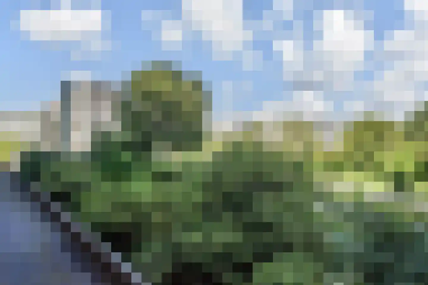 Stadhoudersring 556 Zoetermeer thumbnail 25