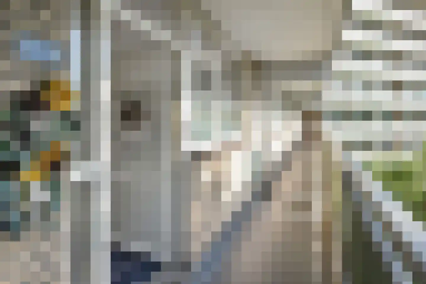 Stadhoudersring 556 Zoetermeer thumbnail 5