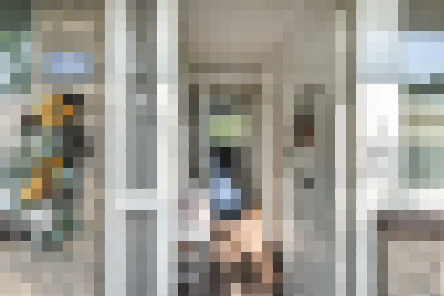 Stadhoudersring 556 Zoetermeer thumbnail 6