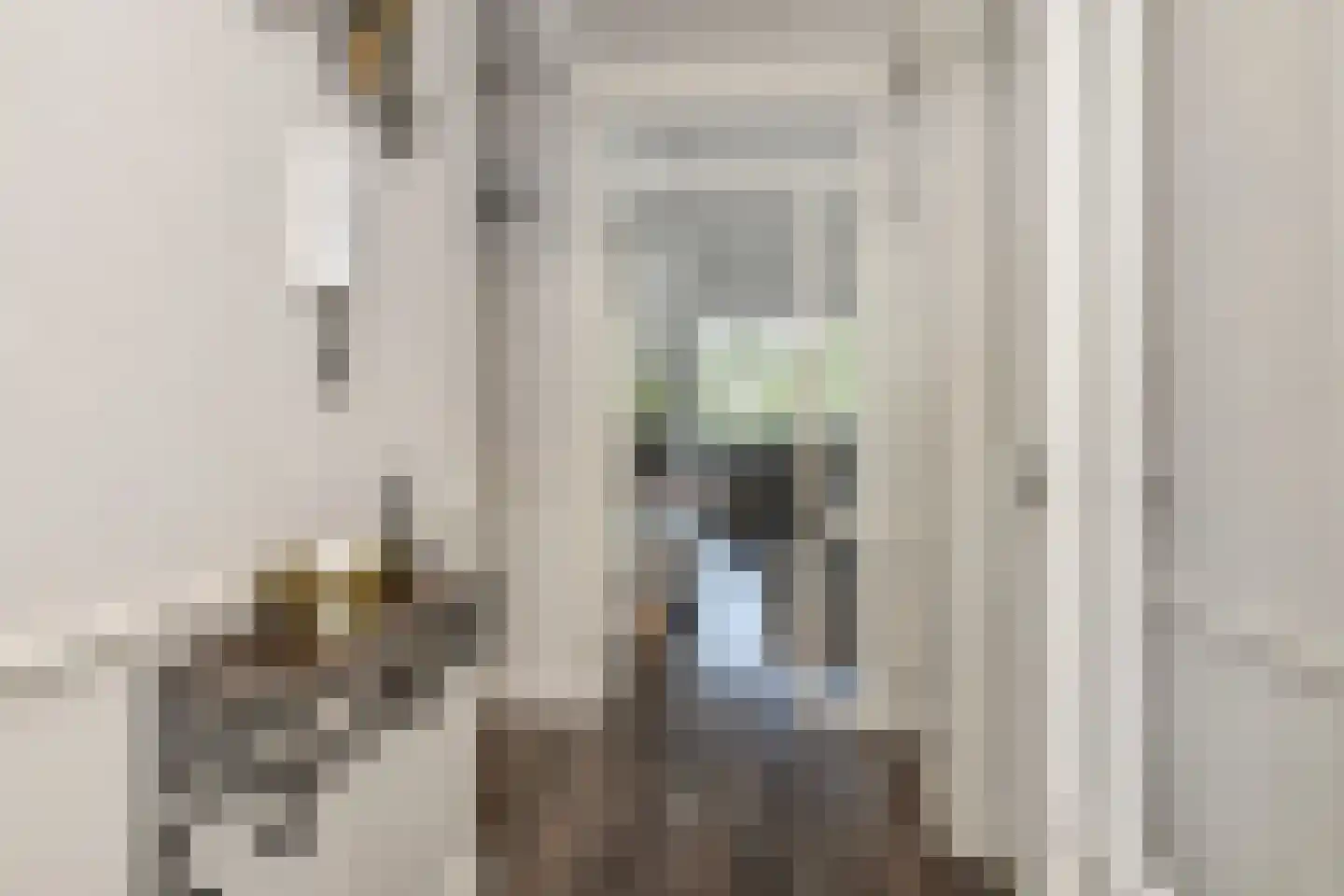 Stadhoudersring 556 Zoetermeer thumbnail 7