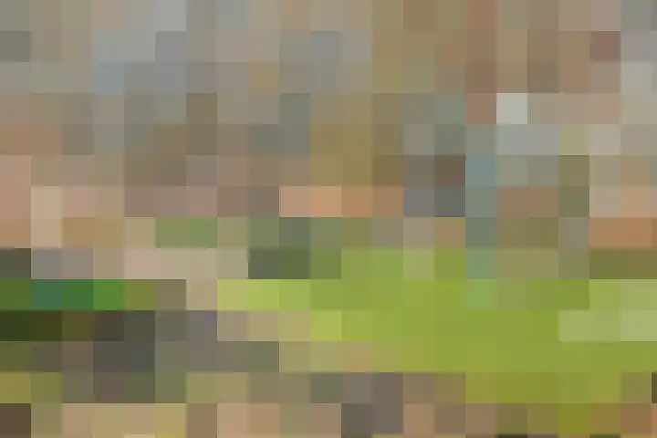Stadhoudersring 584 Zoetermeer thumbnail 23