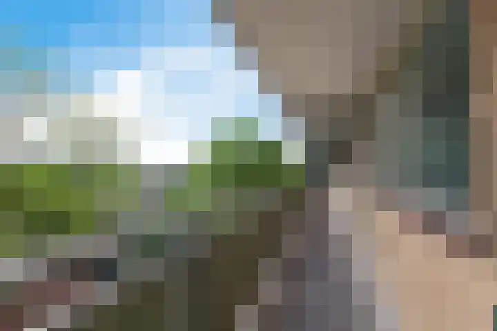 Stadhoudersring 602 Zoetermeer thumbnail 28