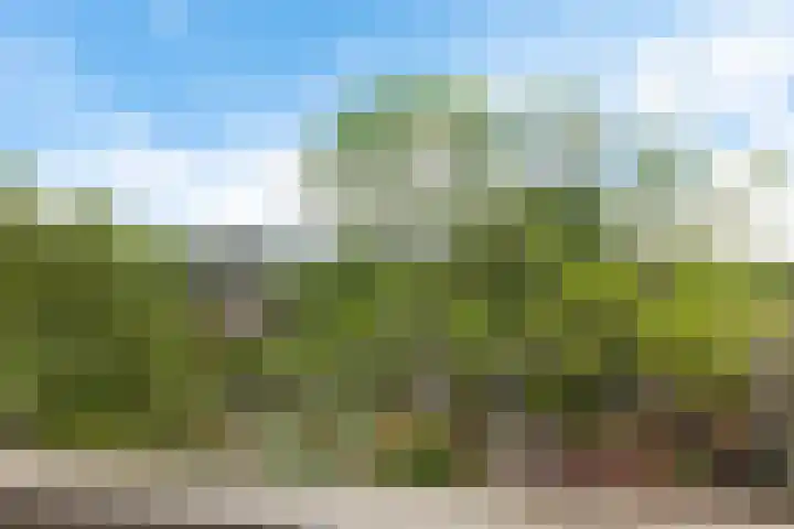 Stadhoudersring 602 Zoetermeer thumbnail 29