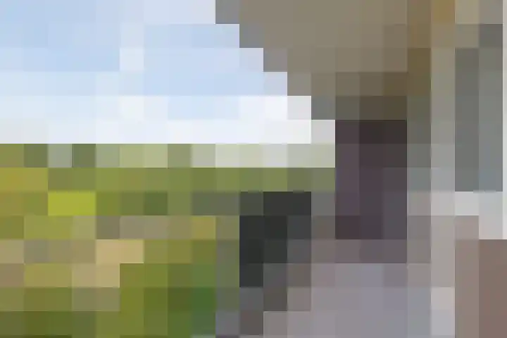 Stadhoudersring 602 Zoetermeer thumbnail 8