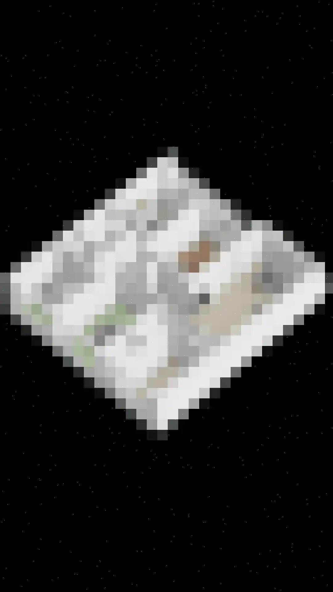 Stadhoudersring 648 Zoetermeer thumbnail 34