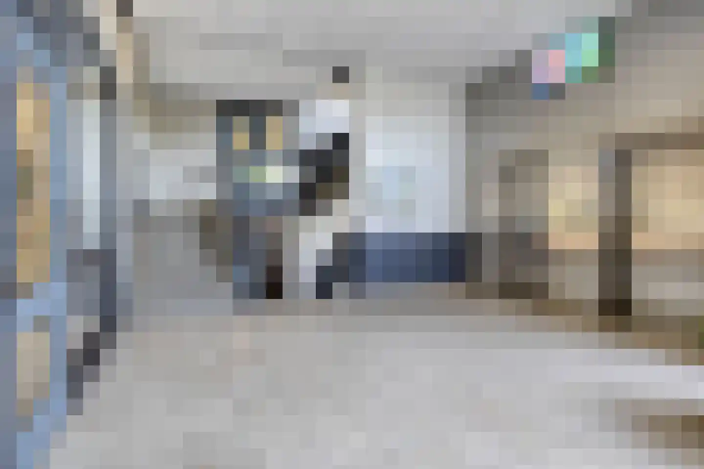 Stadhoudersring 648 Zoetermeer thumbnail 7