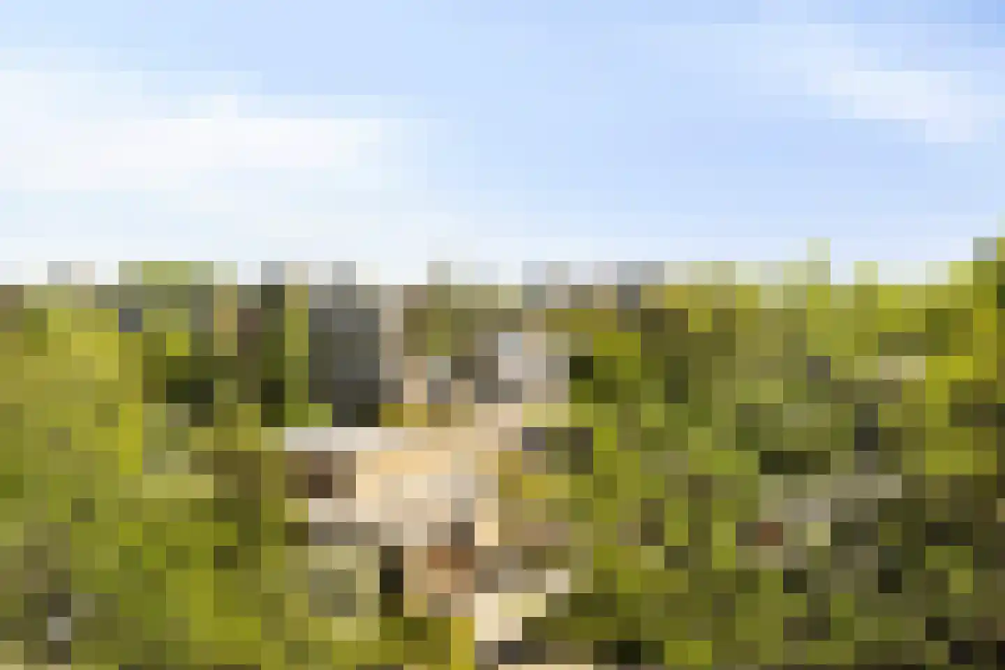 Stadhoudersring 654 Zoetermeer thumbnail 19
