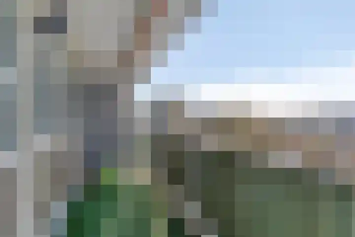 Stadhoudersring 658 Zoetermeer thumbnail 13