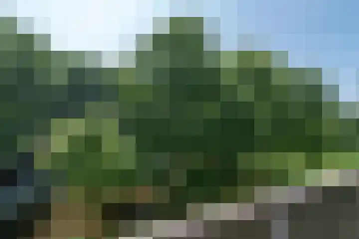 Stadhoudersring 66 Zoetermeer thumbnail 10