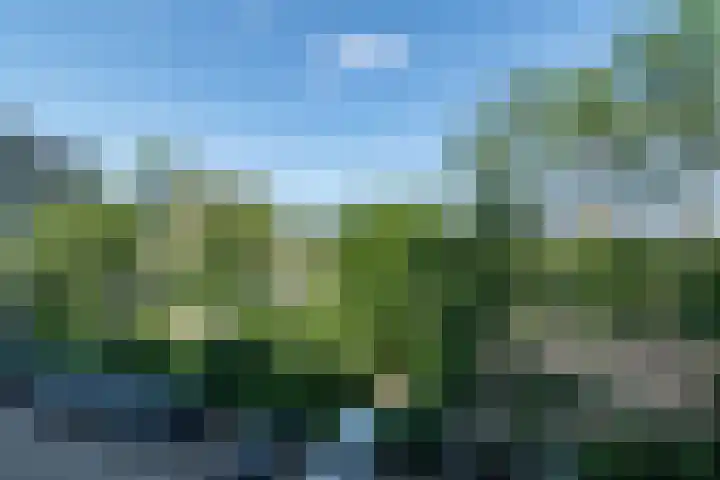 Stadhoudersring 66 Zoetermeer thumbnail 14