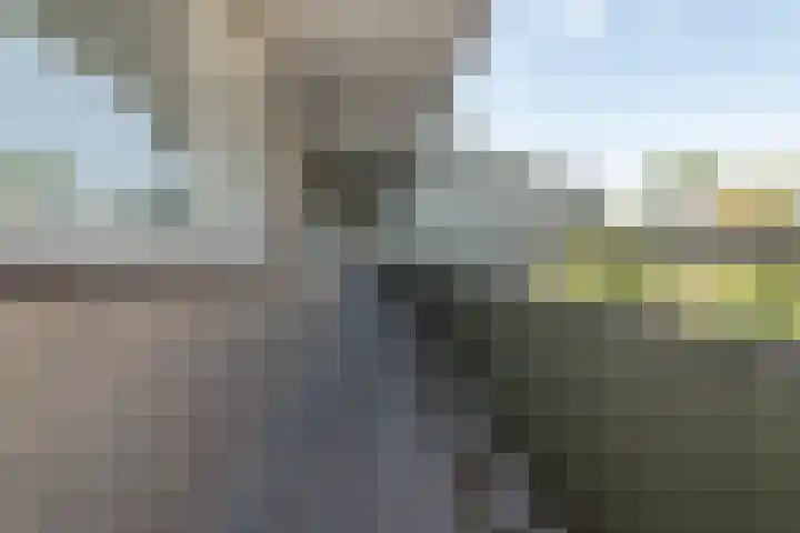 Stadhoudersring 66 Zoetermeer thumbnail 26