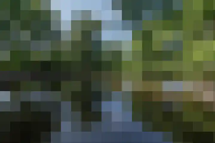 Stadhoudersring 66 Zoetermeer thumbnail 29