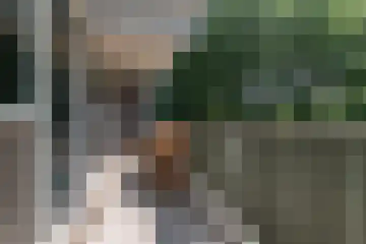 Stadhoudersring 66 Zoetermeer thumbnail 7