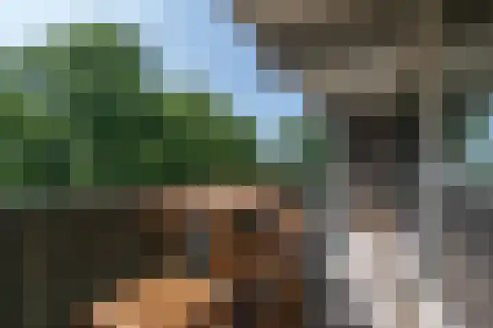 Stadhoudersring 66 Zoetermeer thumbnail 8